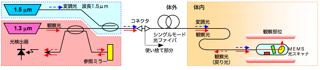 endoscopesystem.png