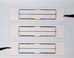 Shutter.gif