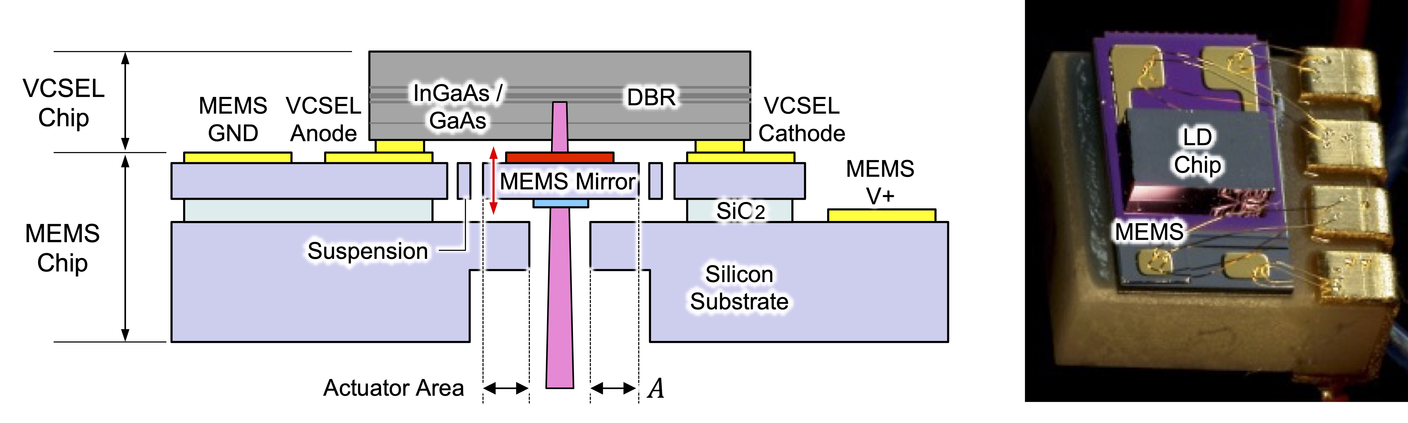 Fig1.jpg