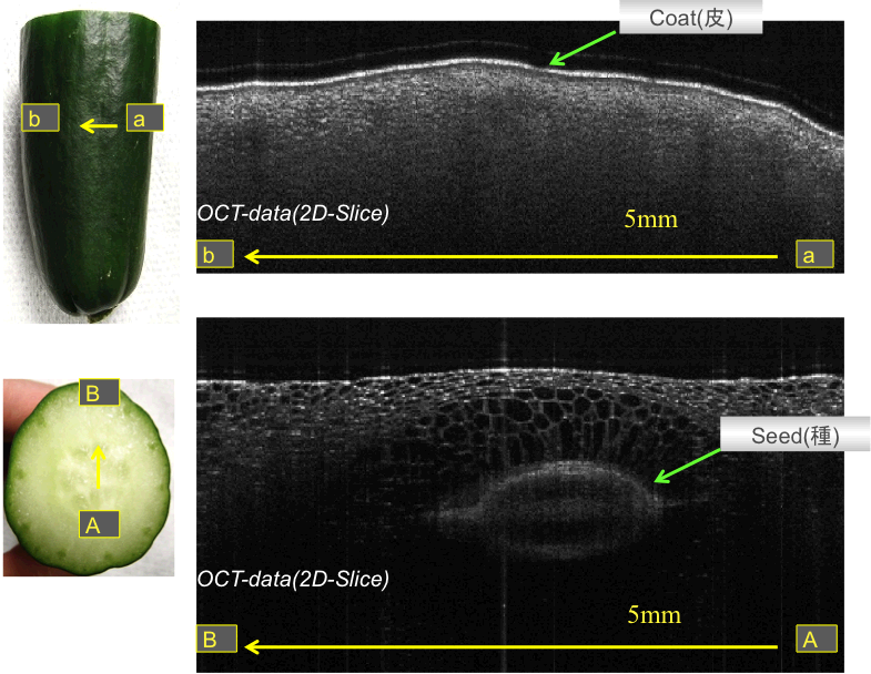 cucumber2012.png