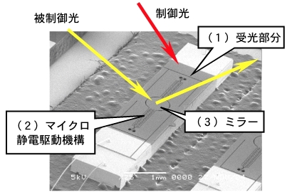 example.jpg