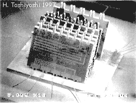 connectorSEM.GIF
