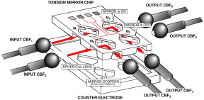 fig1a.JPG