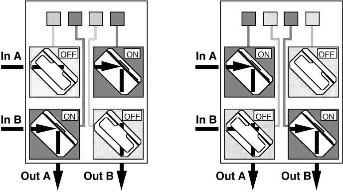 fig1b.JPG