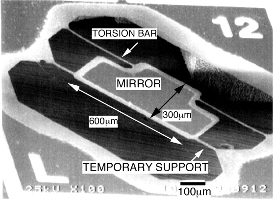 fig2b.JPG