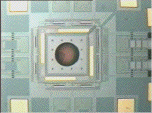 2Dscansmall.GIF