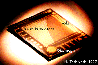 microharp.GIF